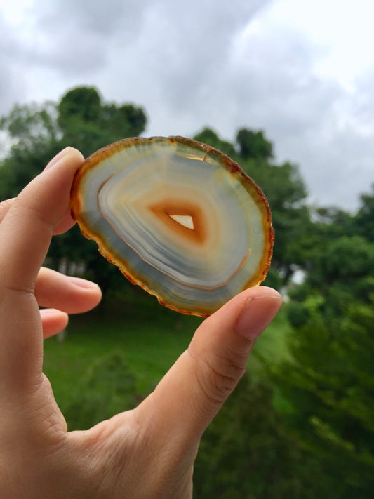 Agate Slice #30 by Vivian Lam