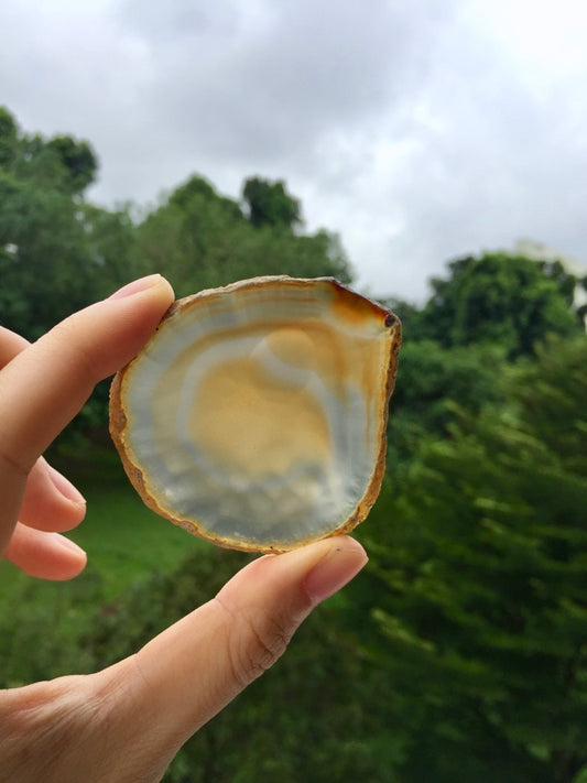Agate Slice #20 by Vivian Lam