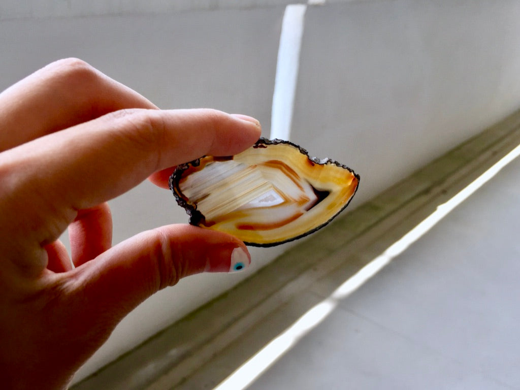 Agate Slice #1 by Vivian Lam