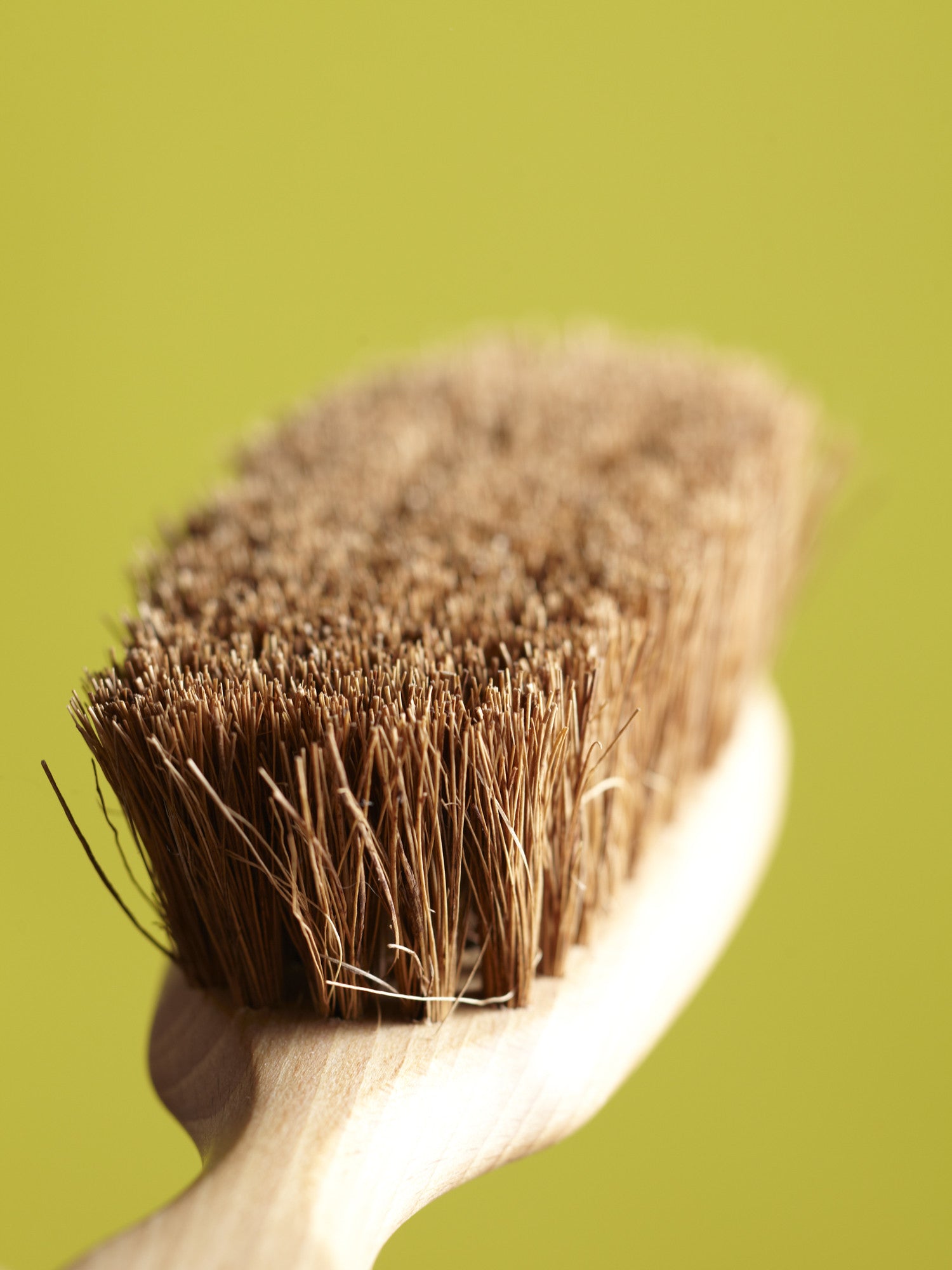 Carpet Brush - Emporium of the Modern Man
 - 2