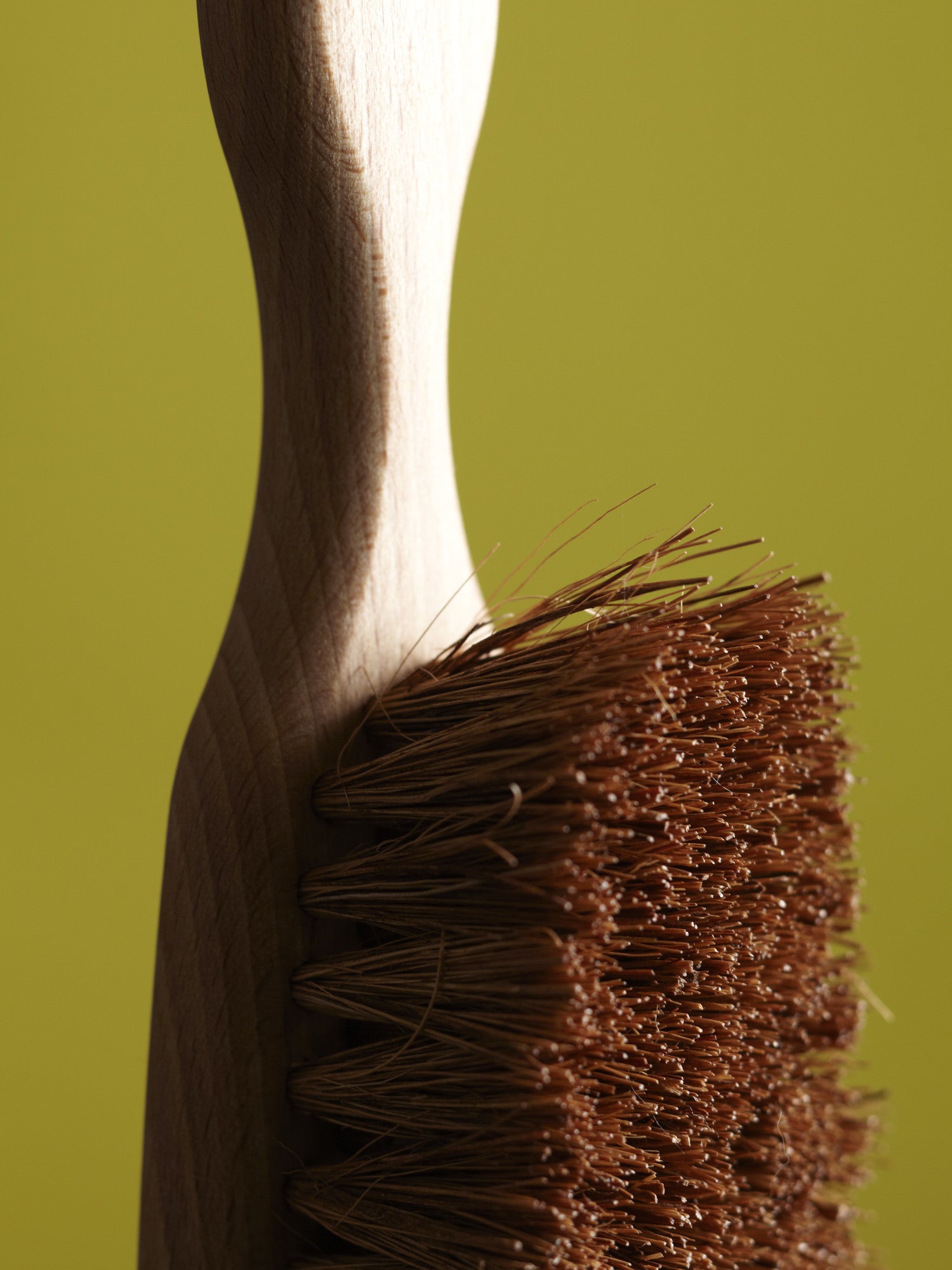 Carpet Brush - Emporium of the Modern Man
 - 3