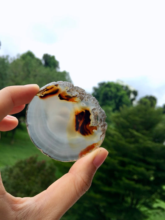 Agate Slice #21 by Vivian Lam