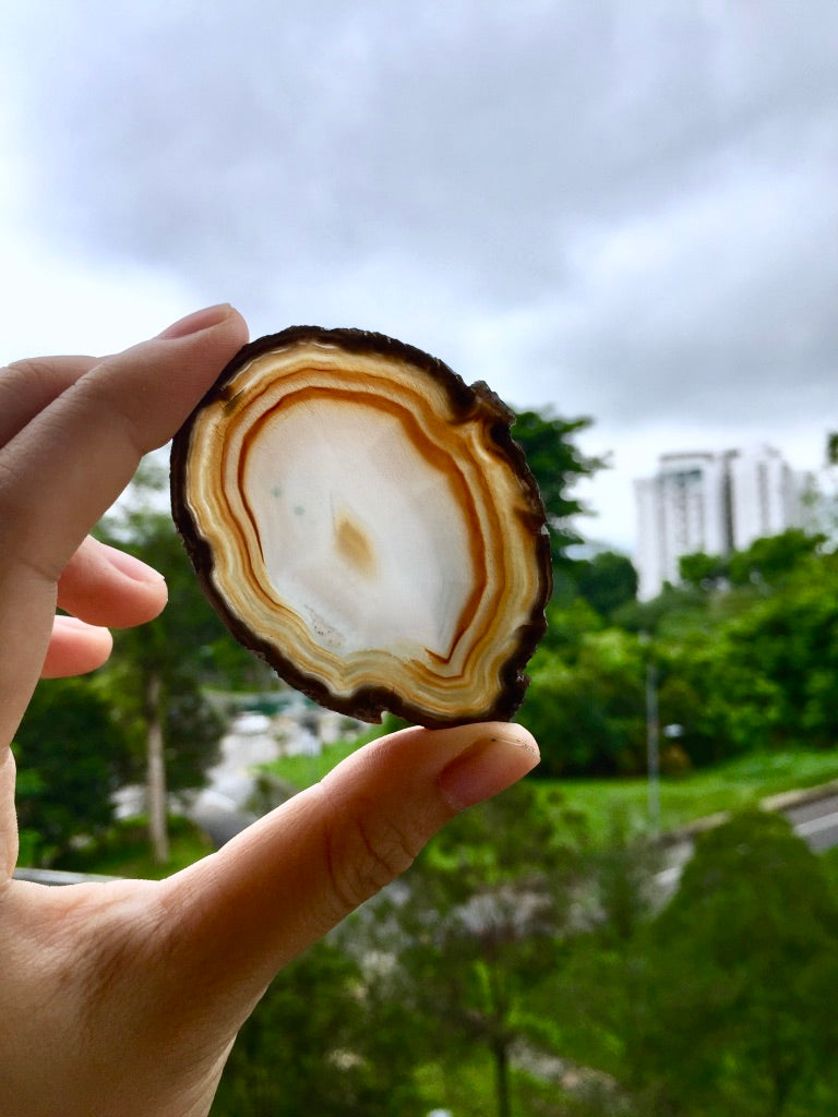 Agate Slice #41  by Vivian Lam