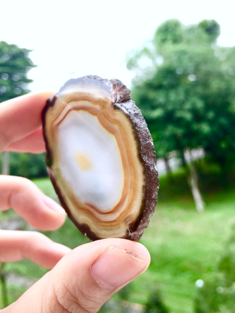 Agate Slice #41  by Vivian Lam