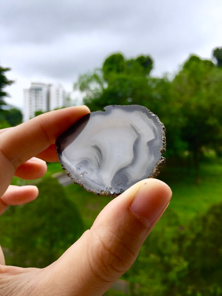 Agate Slice #44  by Vivian Lam